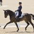 Michael Jung Leads Dressage at Kentucky